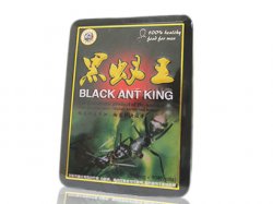  新 黒蟻王 BLACK ANT KING 